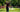 man hitting golf ball on course - spring weather wearing golf hoodie