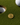 Golf ball and Bitcoin coin on a green golf course with a hole in the background