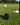 Golf ball and green jacket marker on a golf course with a hole in the background