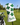 Golf club head cover with green shamrocks and 'Lucky' text on a golf course background