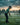 young Golfer on a golf course with a scenic background