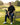 Man sitting on a bench with golf clubs on a golf course at sunset