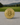 Gold Bitcoin coin on a concrete surface with a blurred natural background