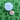 Novelty Golf Ball Marker Next to Golf Ball