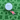 Tiger Woods Golf Ball Marker next to golf ball
