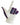 White glove with purple and pink pattern on a white background