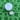 Happy Gilmore Golf Ball marker next to white golf ball