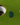 Golf ball and green jacket ball marker on a green putting surface with a hole.