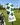 Golf club head cover with green shamrocks and 'Lucky' text on a golf course background