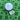 Money Clip Golf Ball marker next to Golf Ball