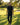 Man walking on a golf course holding a golf club