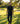 Man walking on a golf course holding a golf club