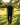 Man walking on a golf course holding a golf club