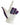 White glove with purple and pink pattern on a white background