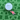 Tiger Woods Golf Ball Marker next to golf ball