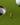 Golf ball near a hole with a miniature World Cup trophy on a green surface